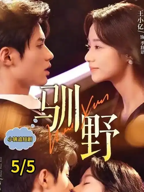 长安十二时 古装权谋电视剧全集在线观看